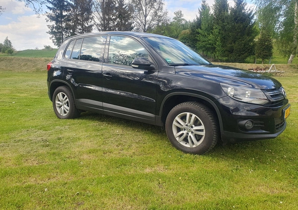 Volkswagen Tiguan cena 48900 przebieg: 182000, rok produkcji 2013 z Paczków małe 211